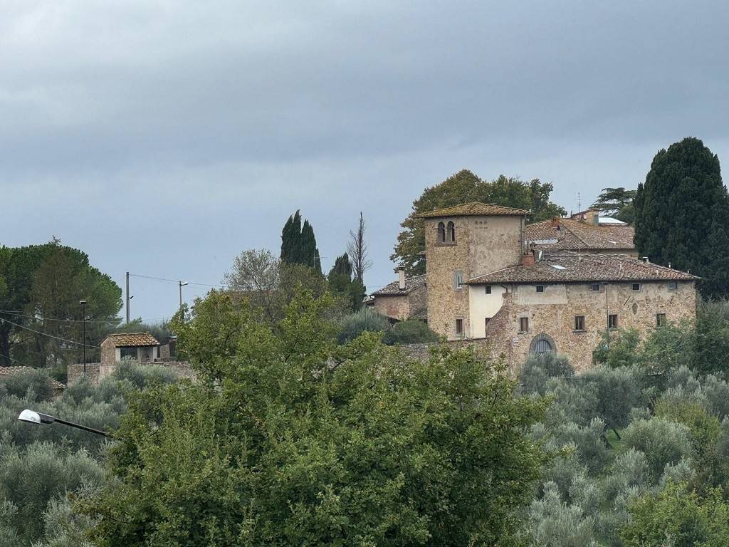 Vista