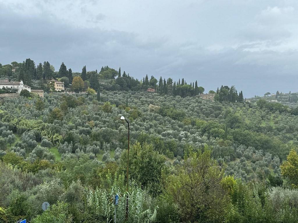 Vista