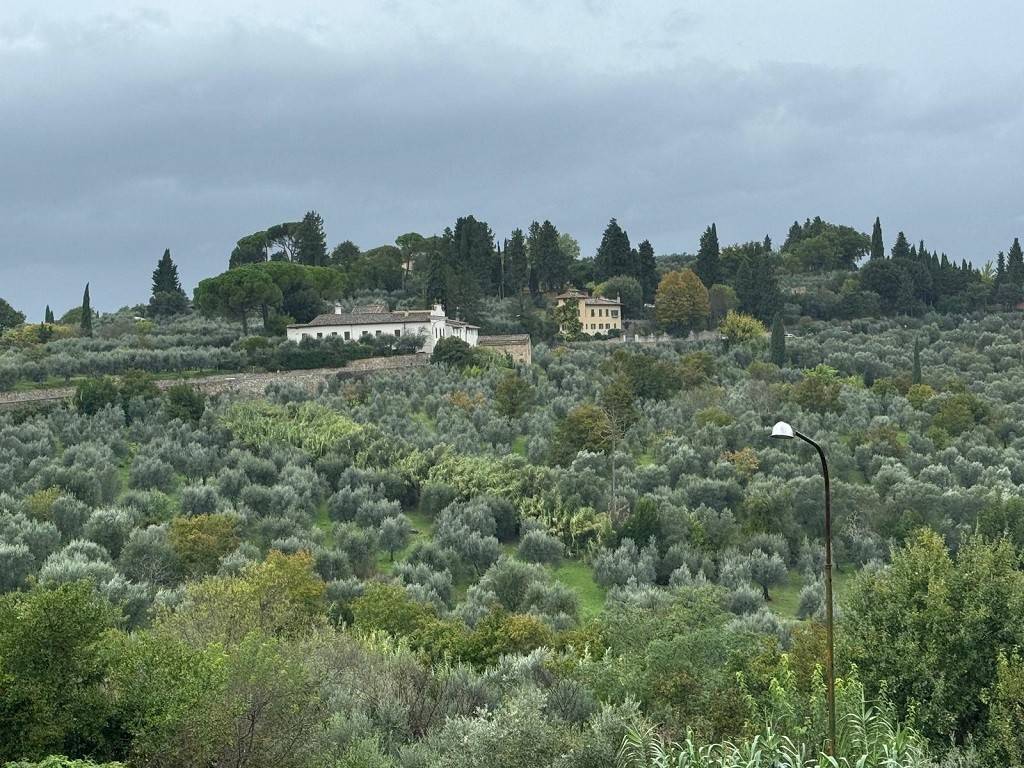 Vista