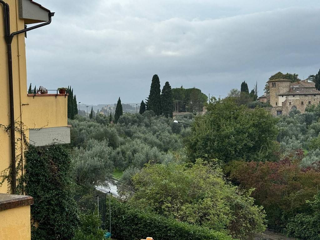 Vista