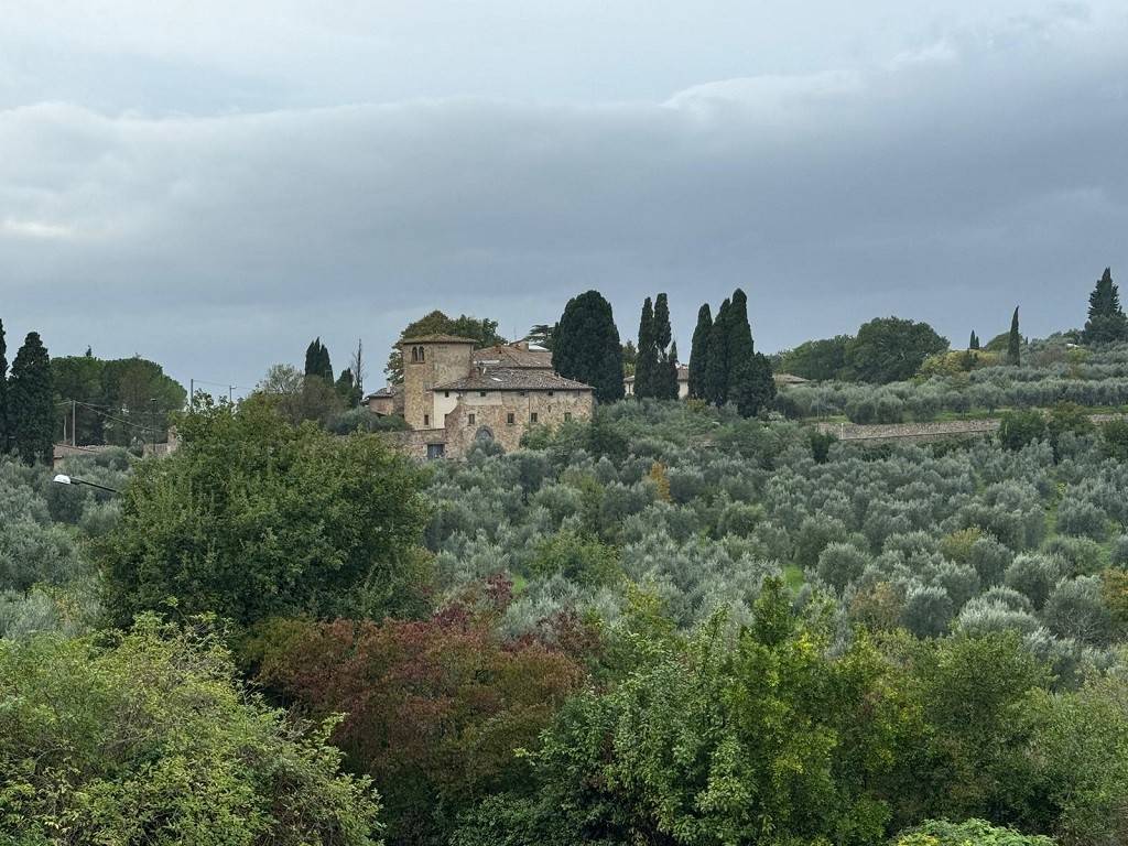 Vista