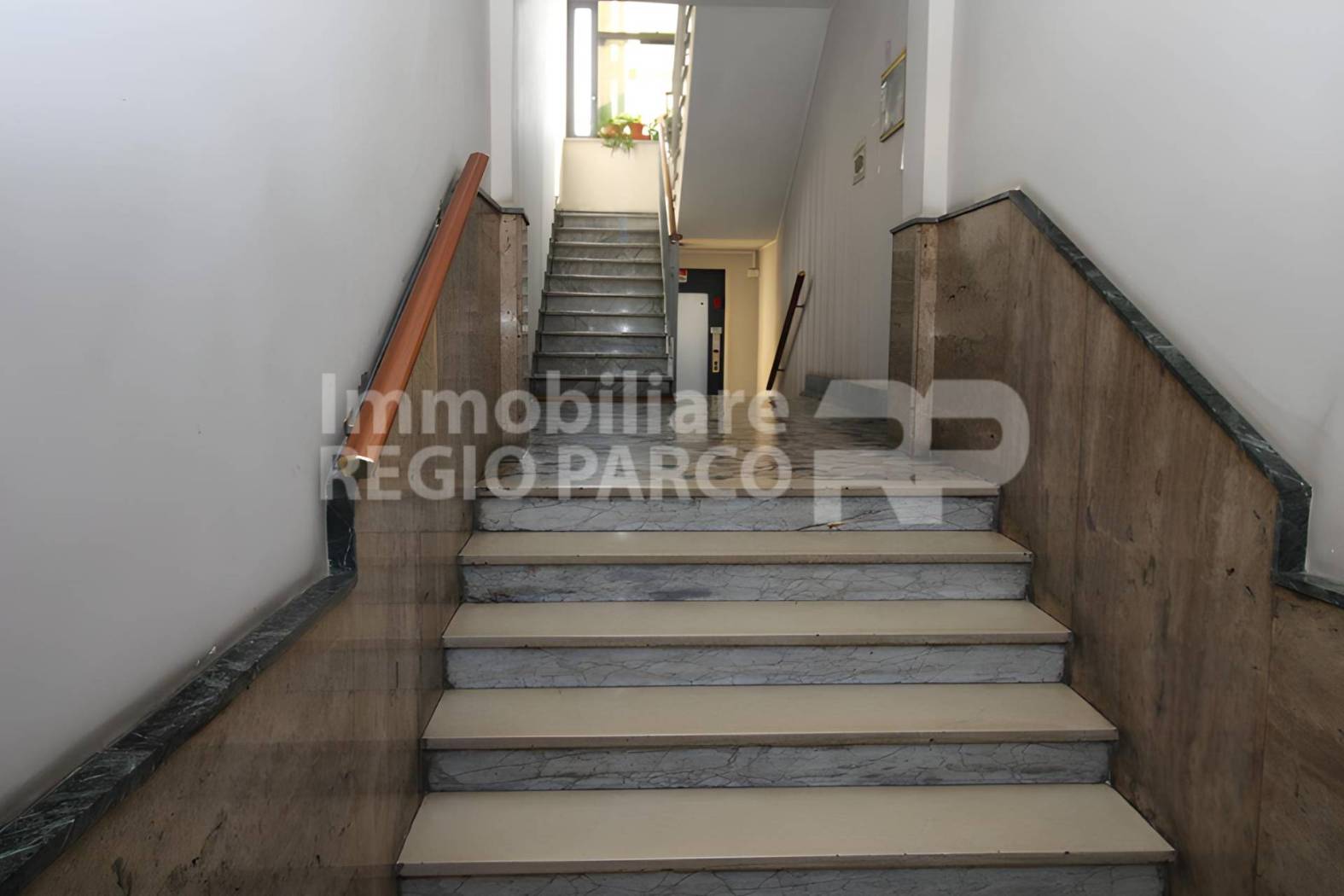 Ingresso