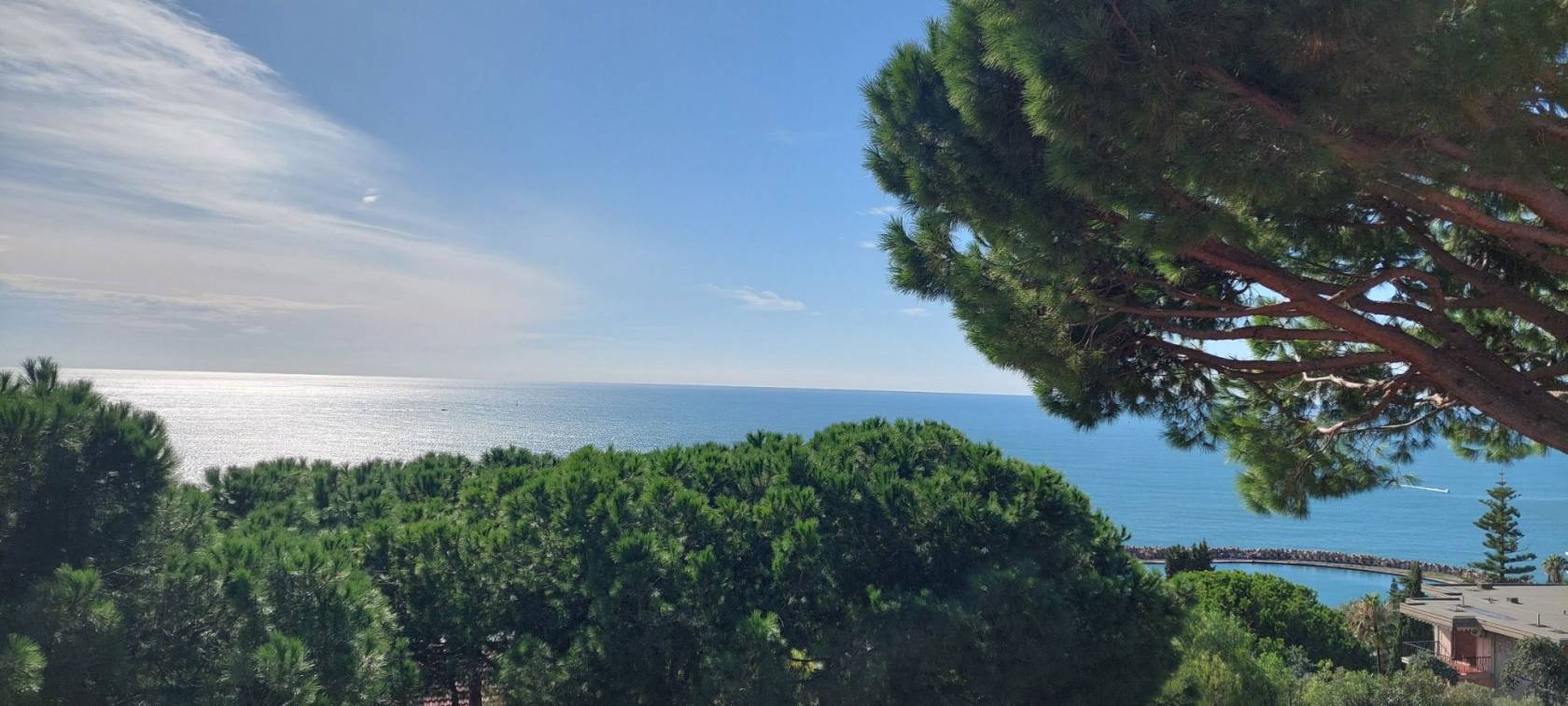 Vista