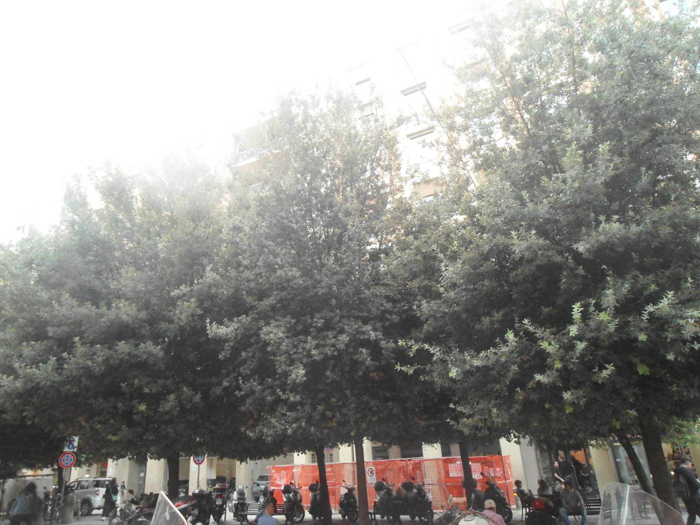 Zona