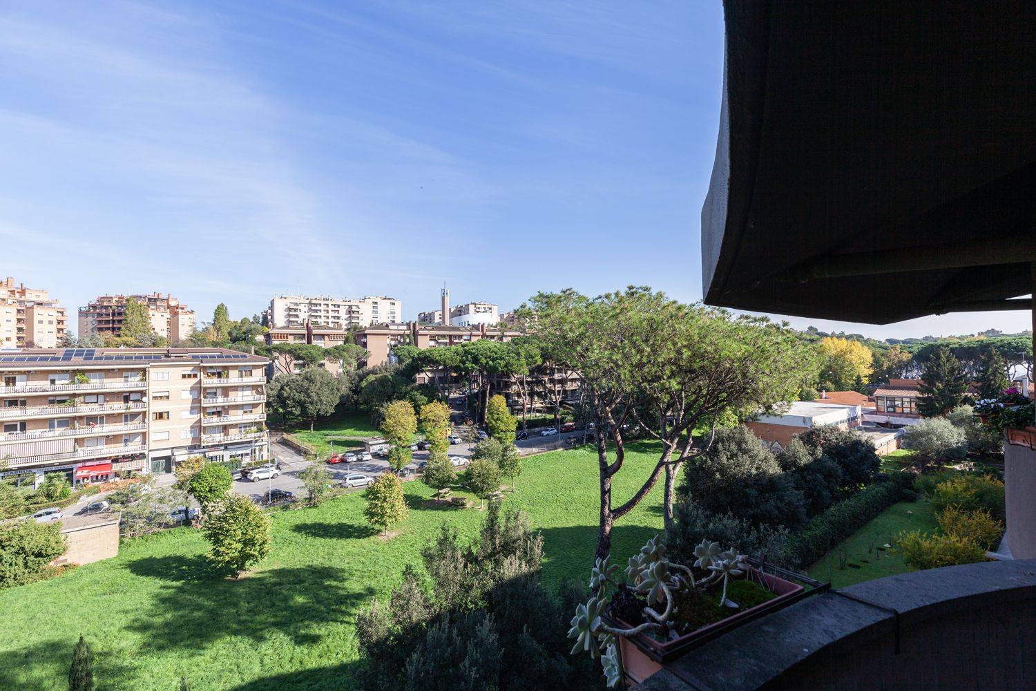 Vista