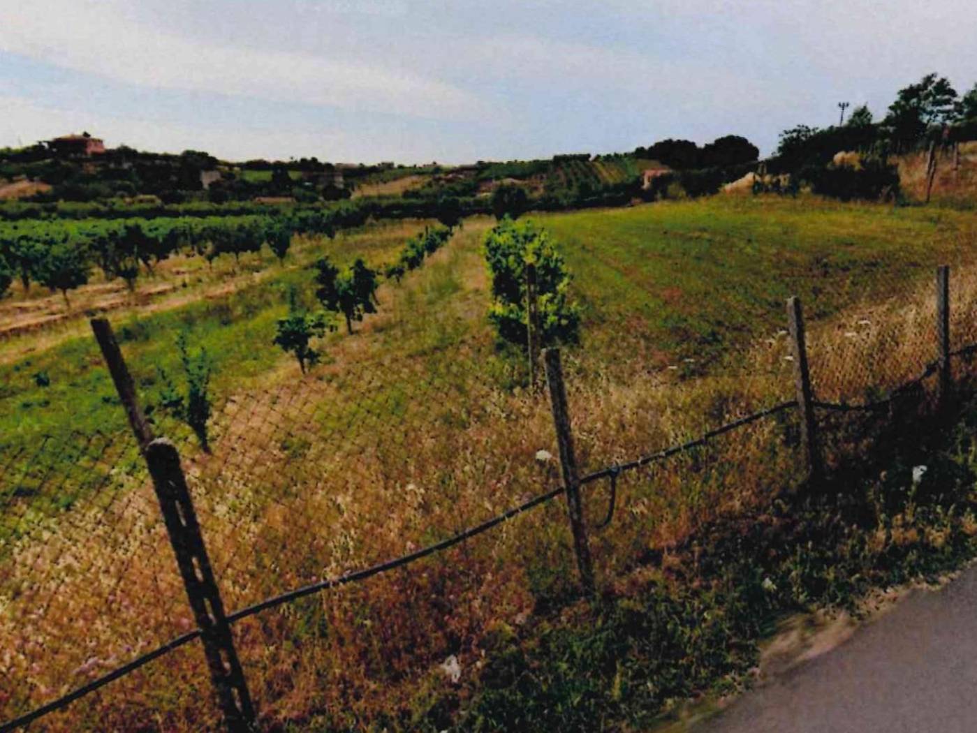 Terreno