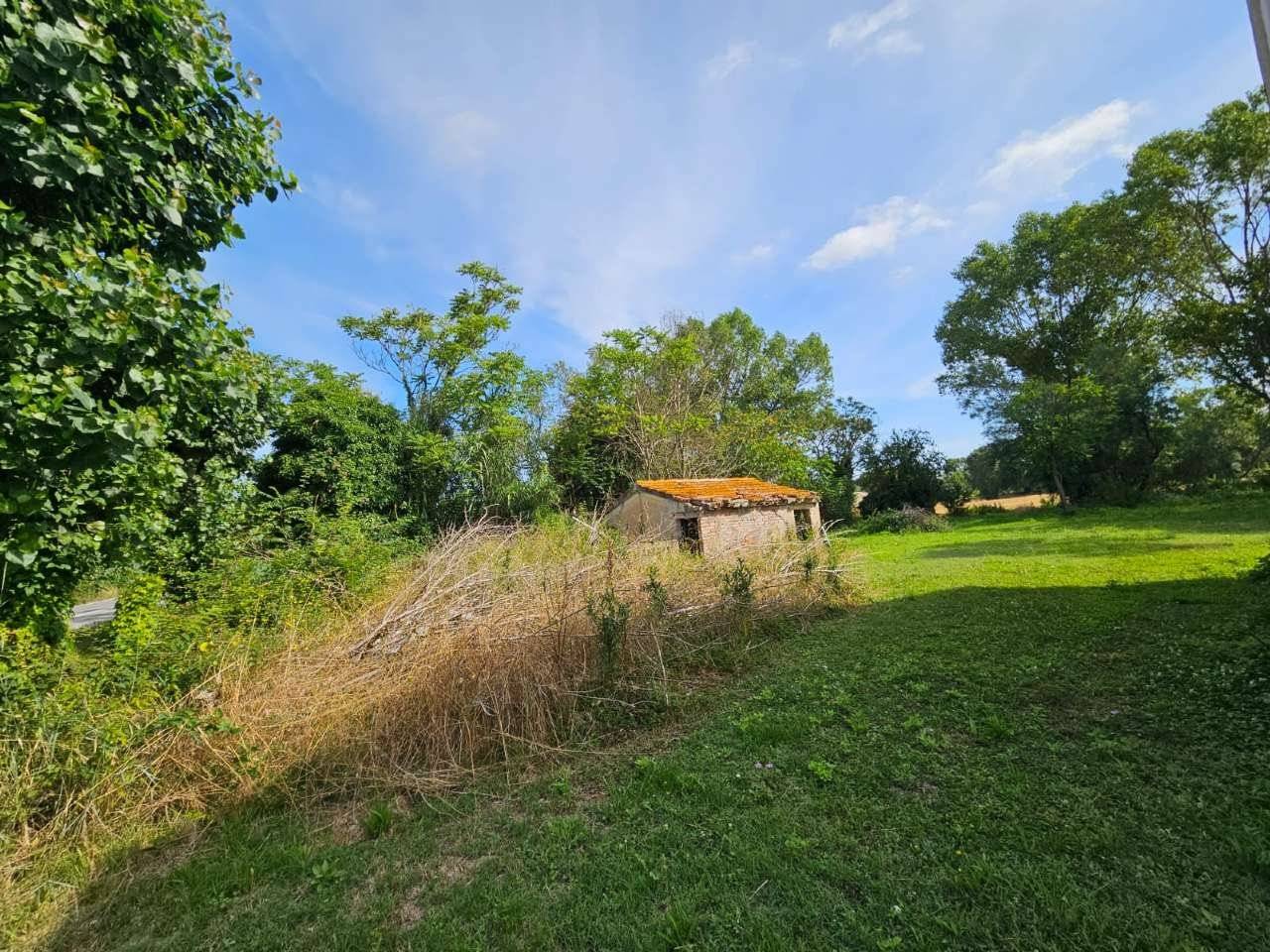 Terreno