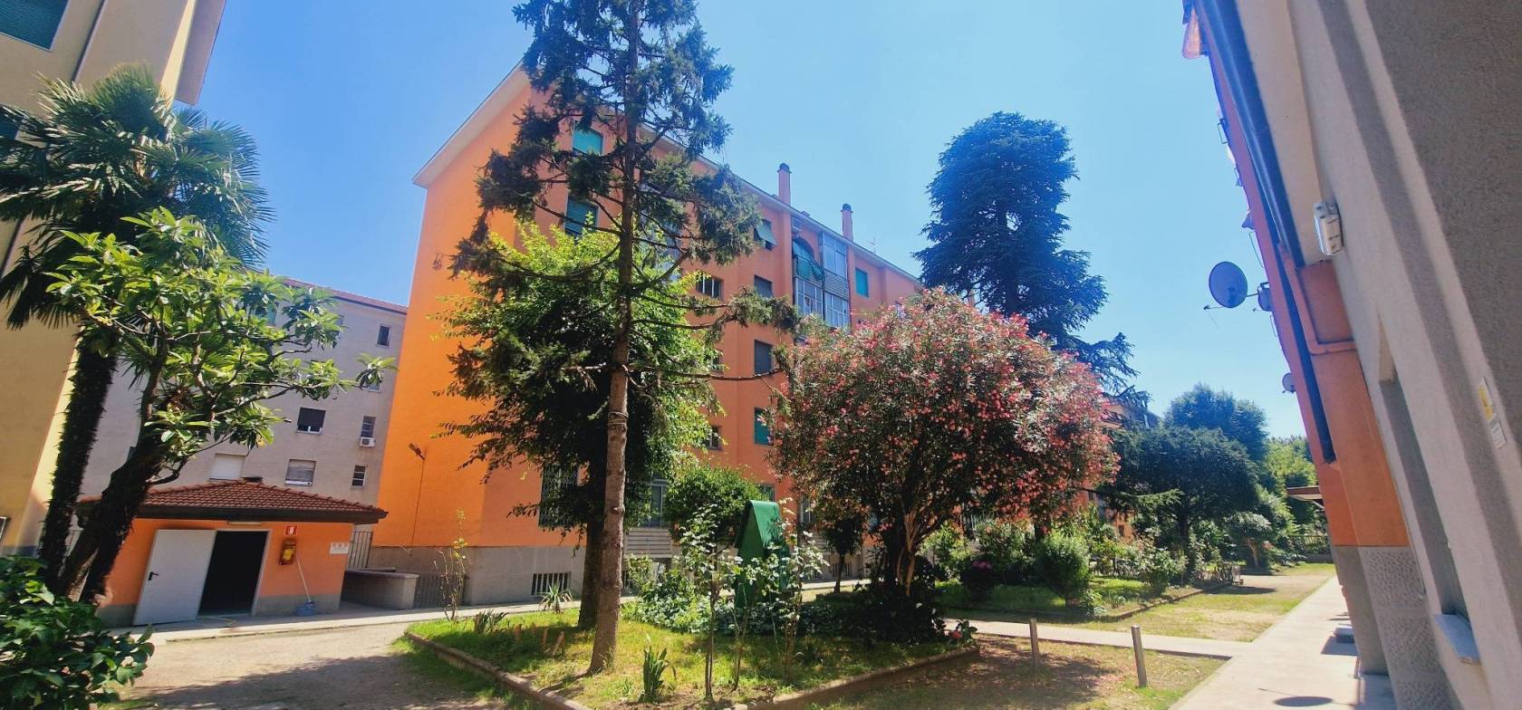 Giardino