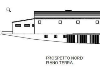 Altro
