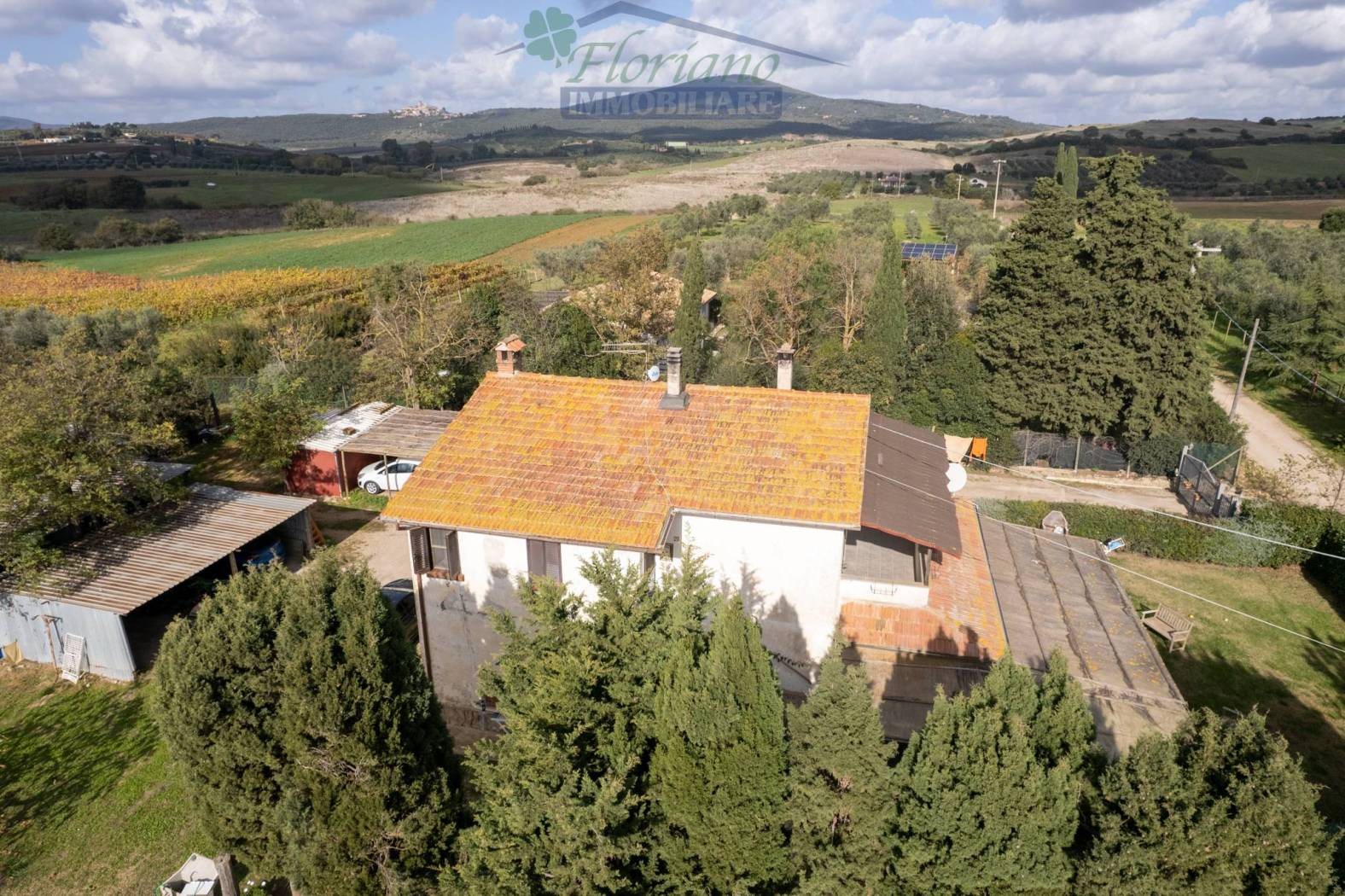 Vista