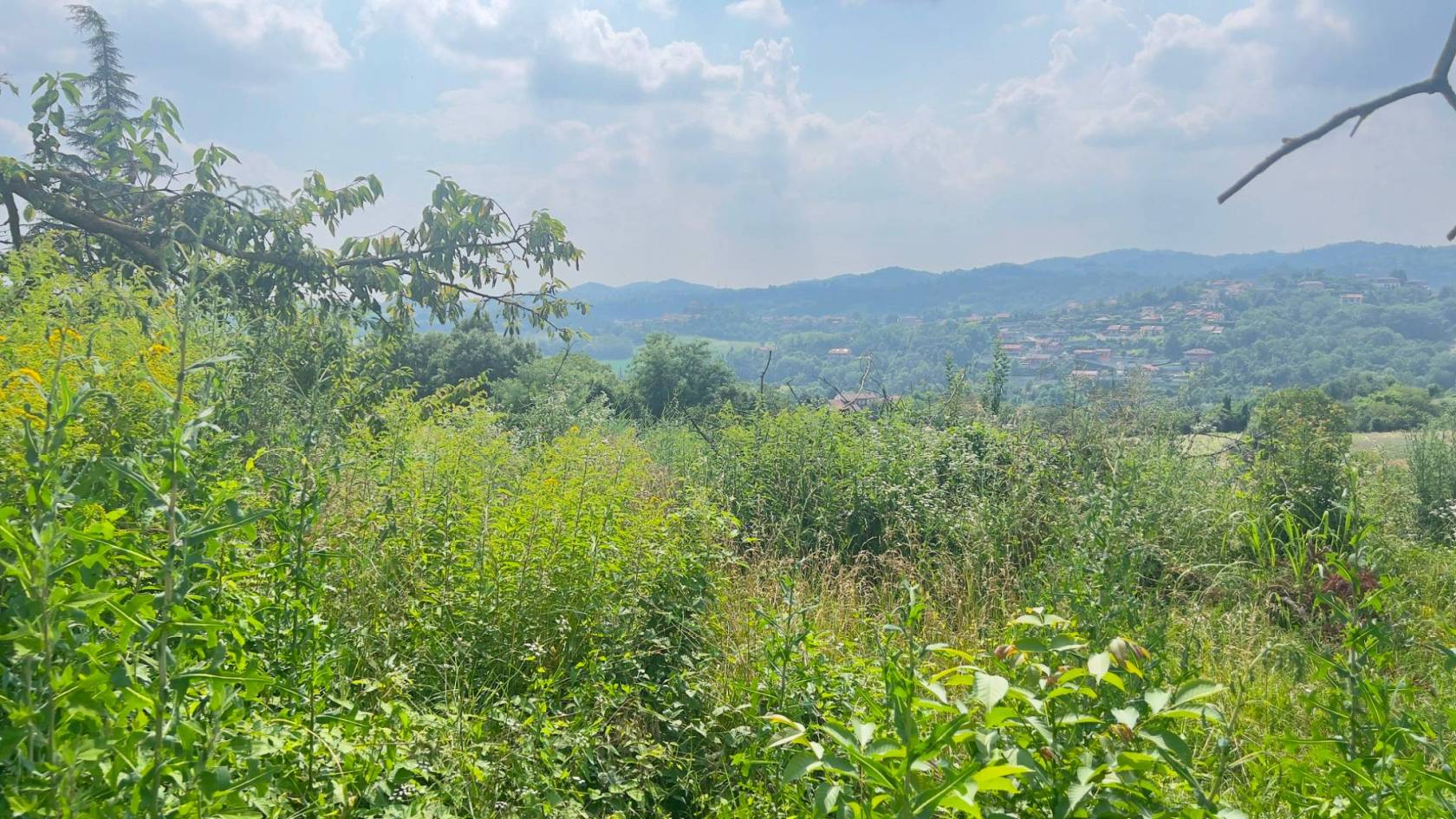 Montaldo Torinese: In posizione dominante, comoda e ben servita, proponiamo terreno edificabile con progetto approvato per la realizzazione di villa 