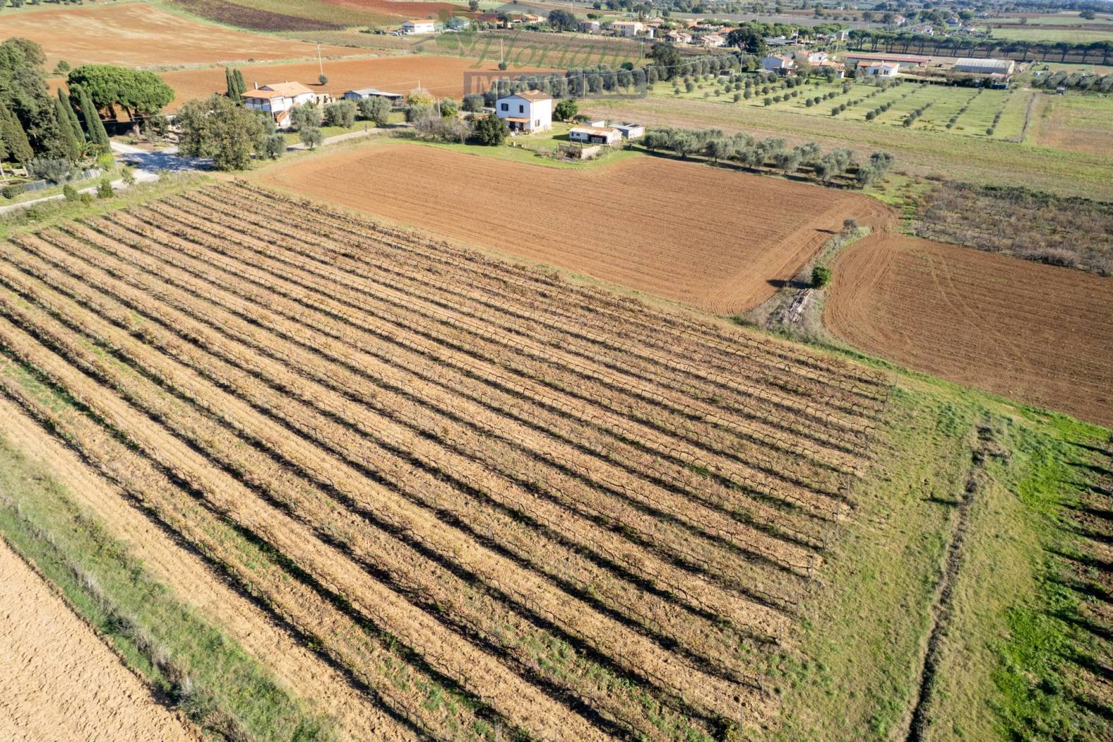 Terreno
