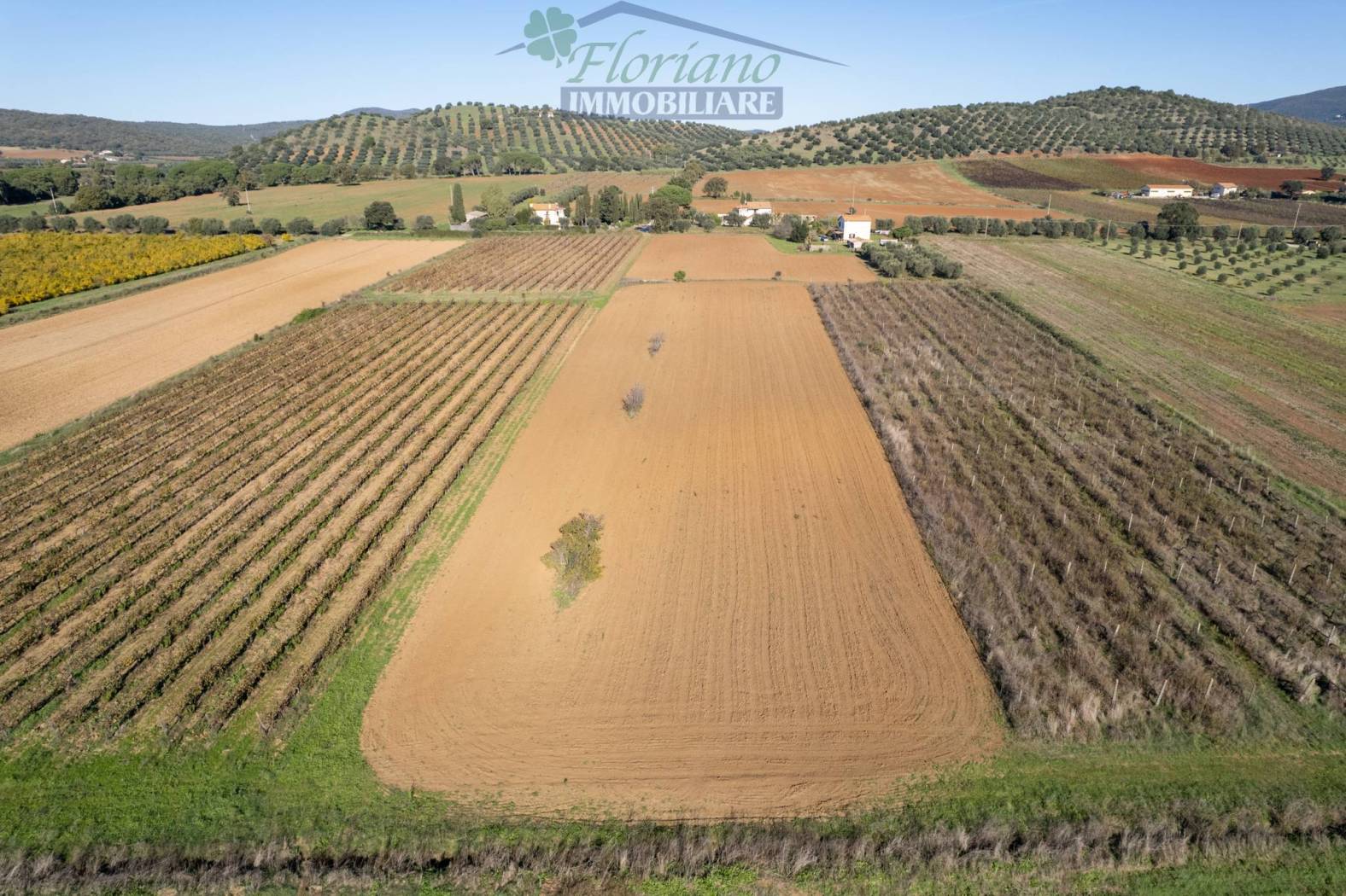 Terreno