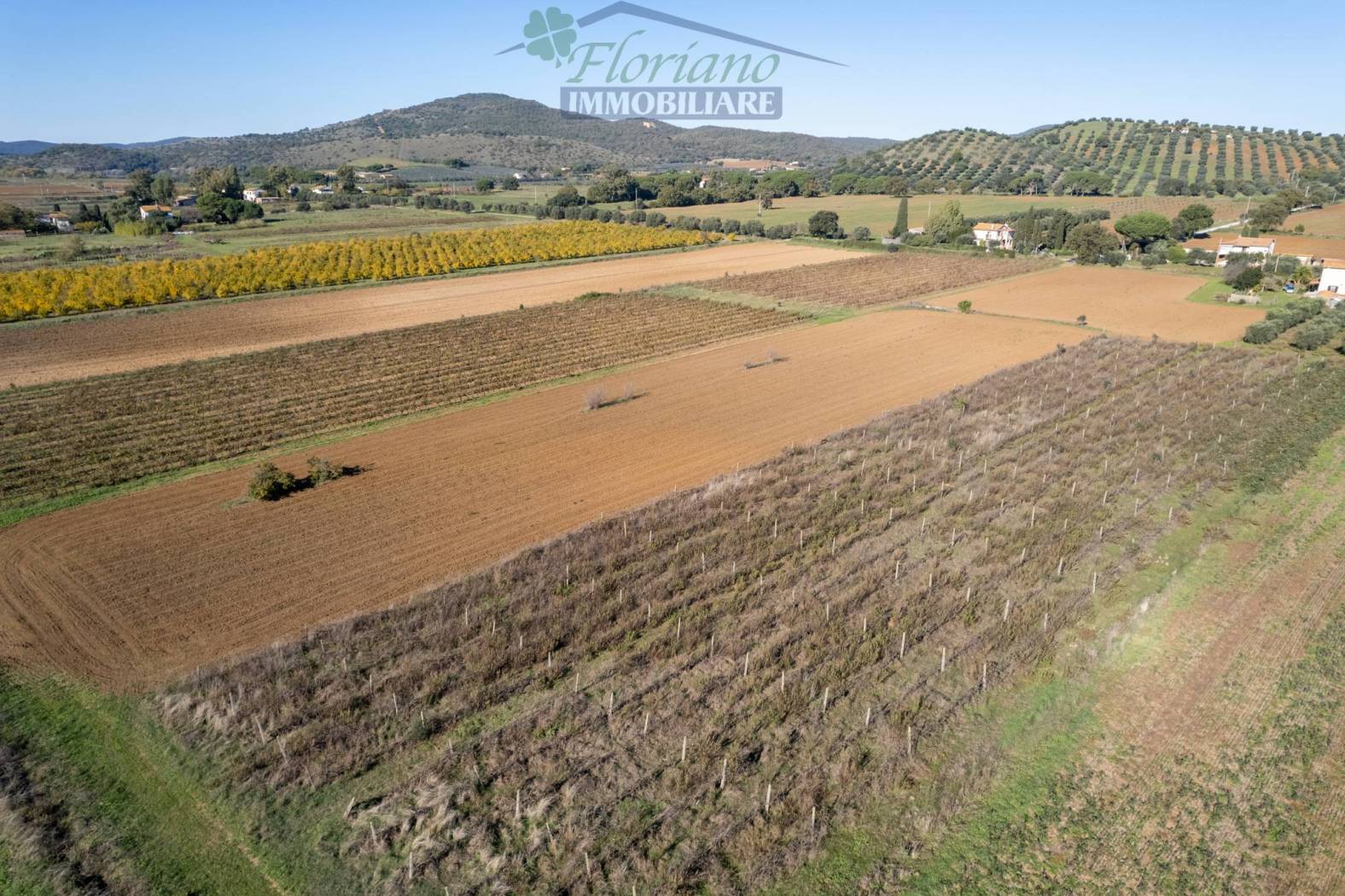 Terreno