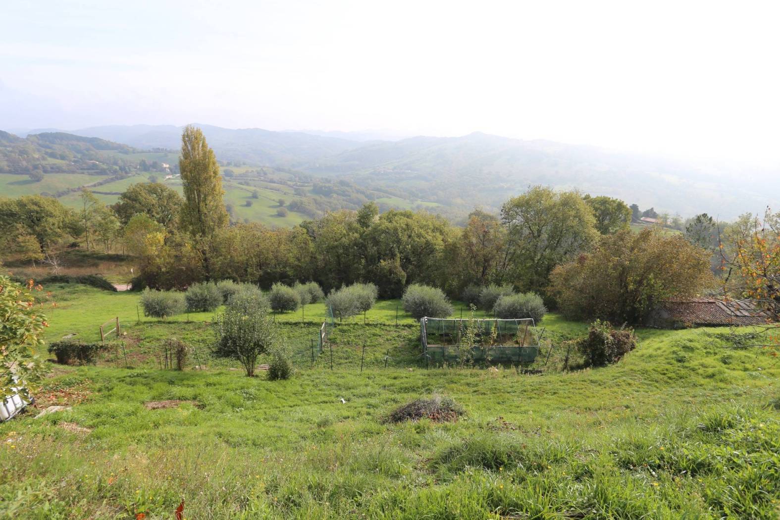 Terreno