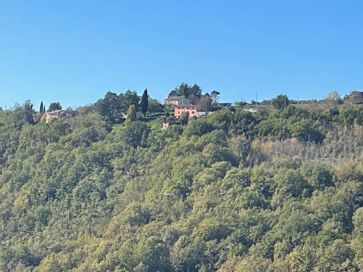 Vista