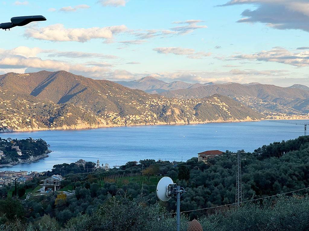Vista