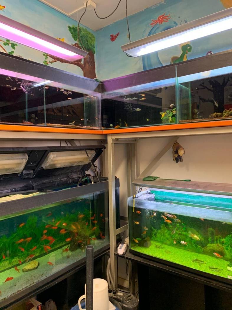 Interno non residenziale