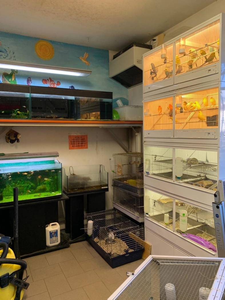 Interno non residenziale