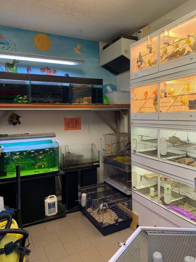 Interno non residenziale