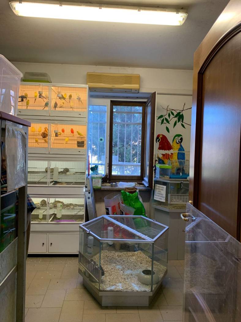 Interno non residenziale