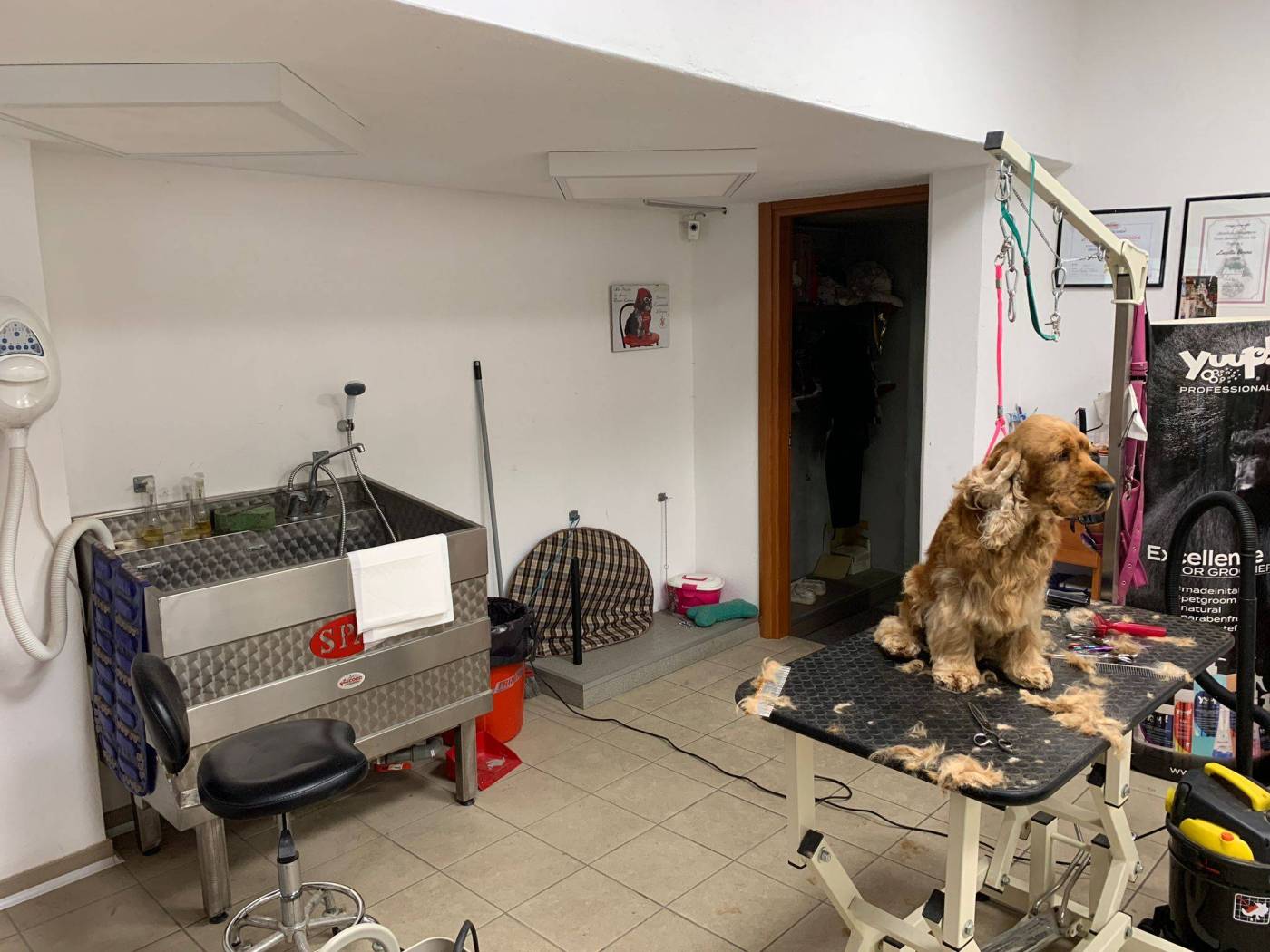 Interno non residenziale