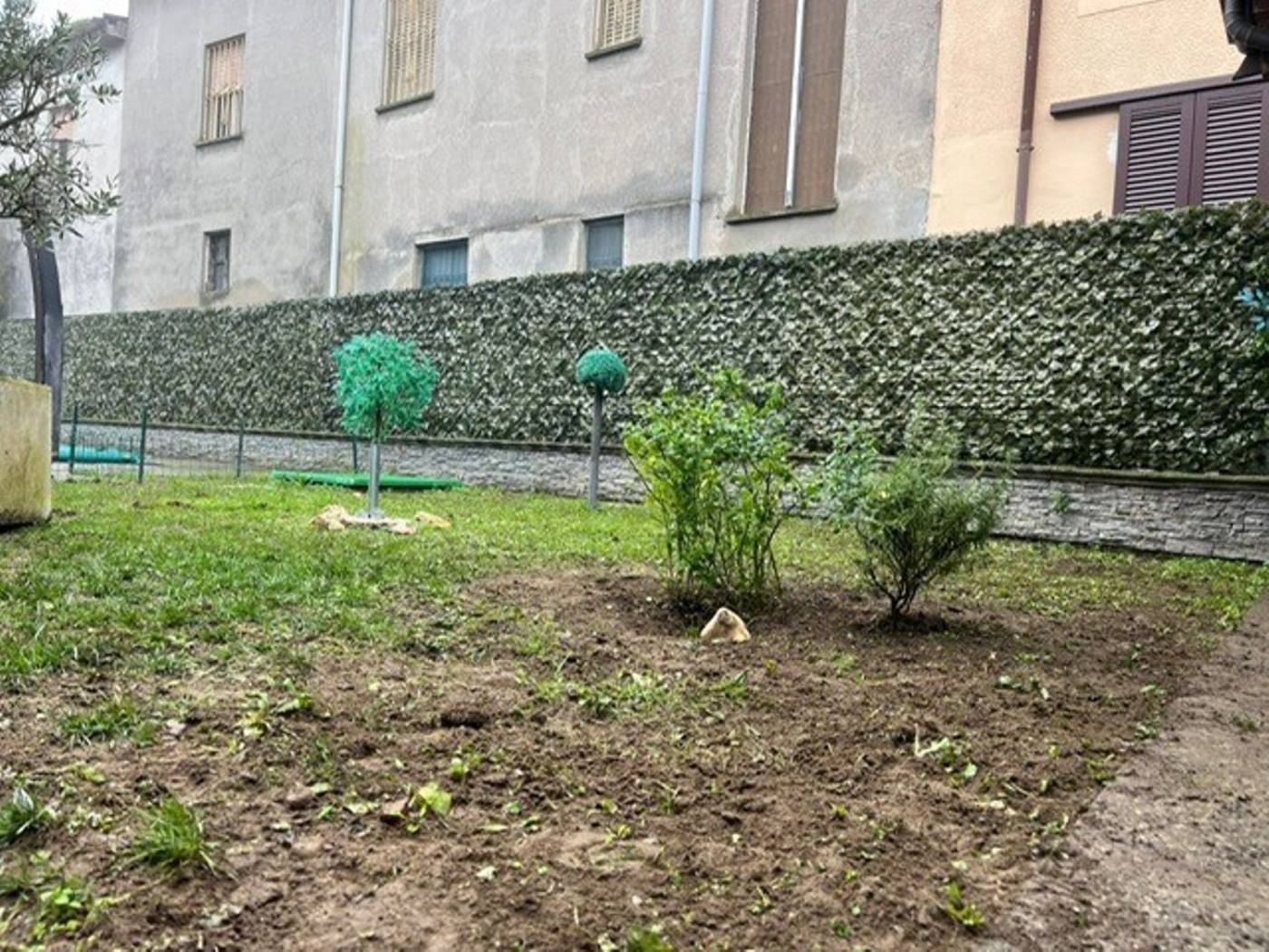 Giardino