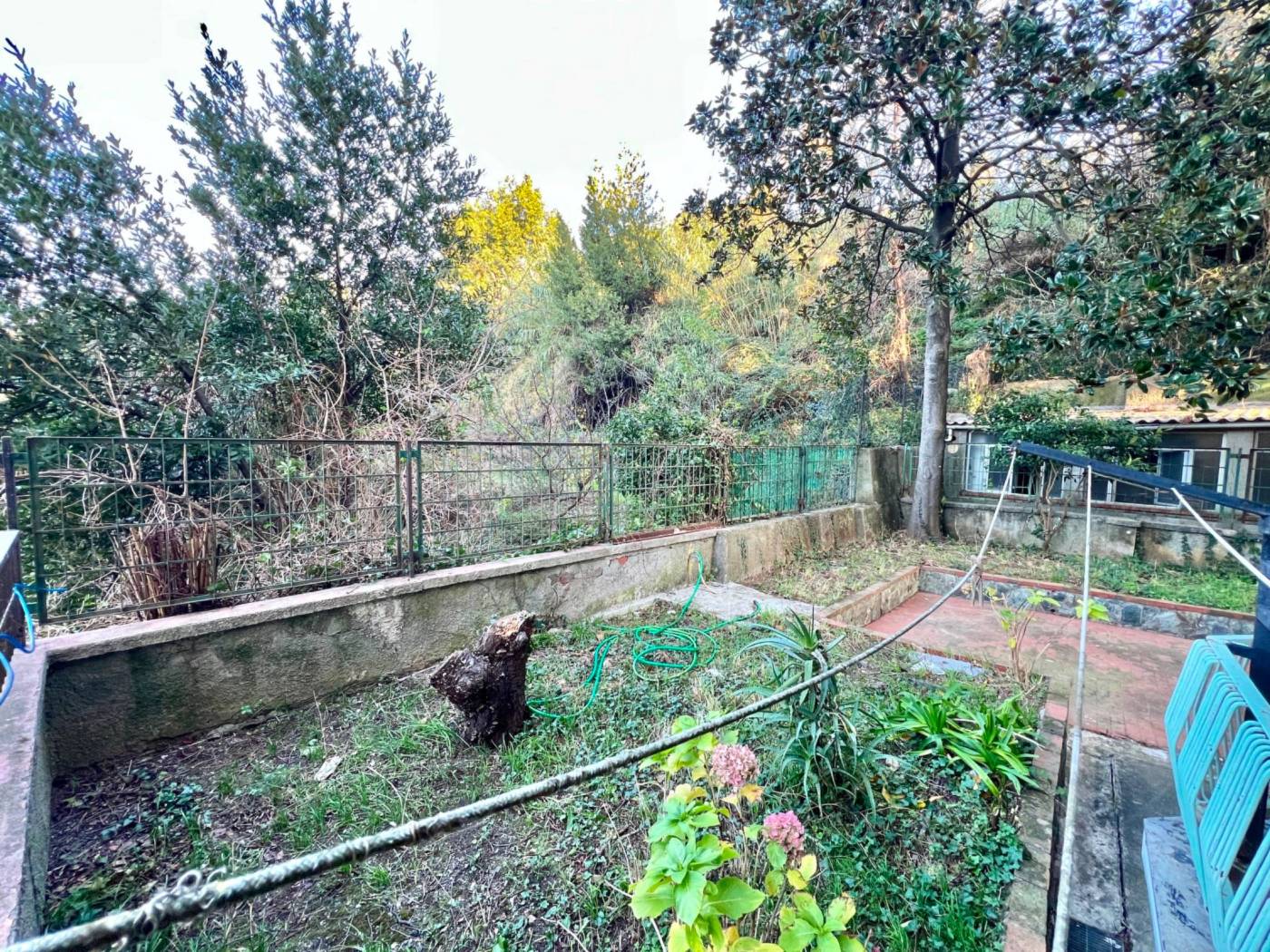 Giardino