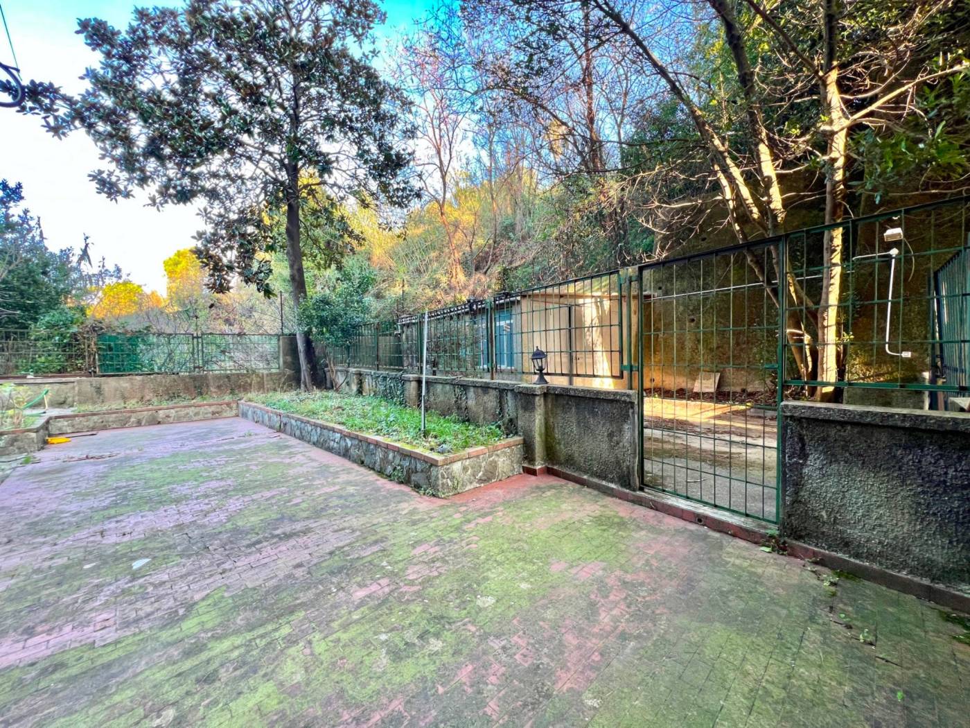 Giardino