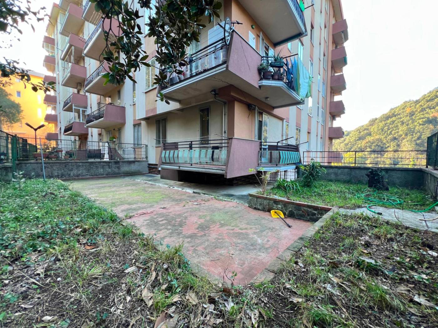 Giardino