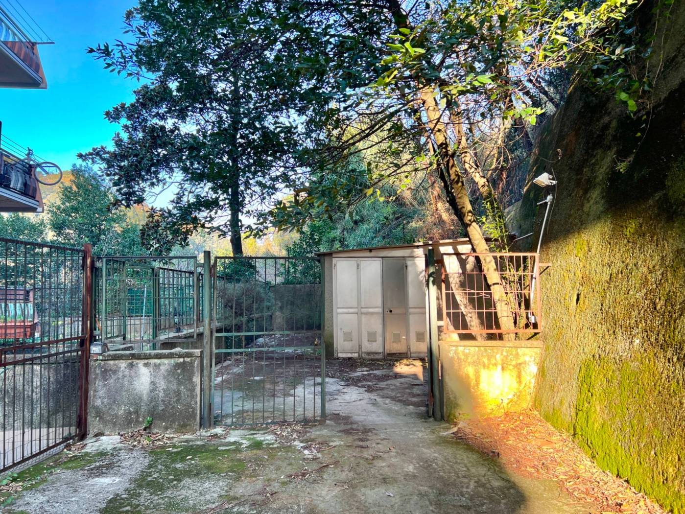 Giardino