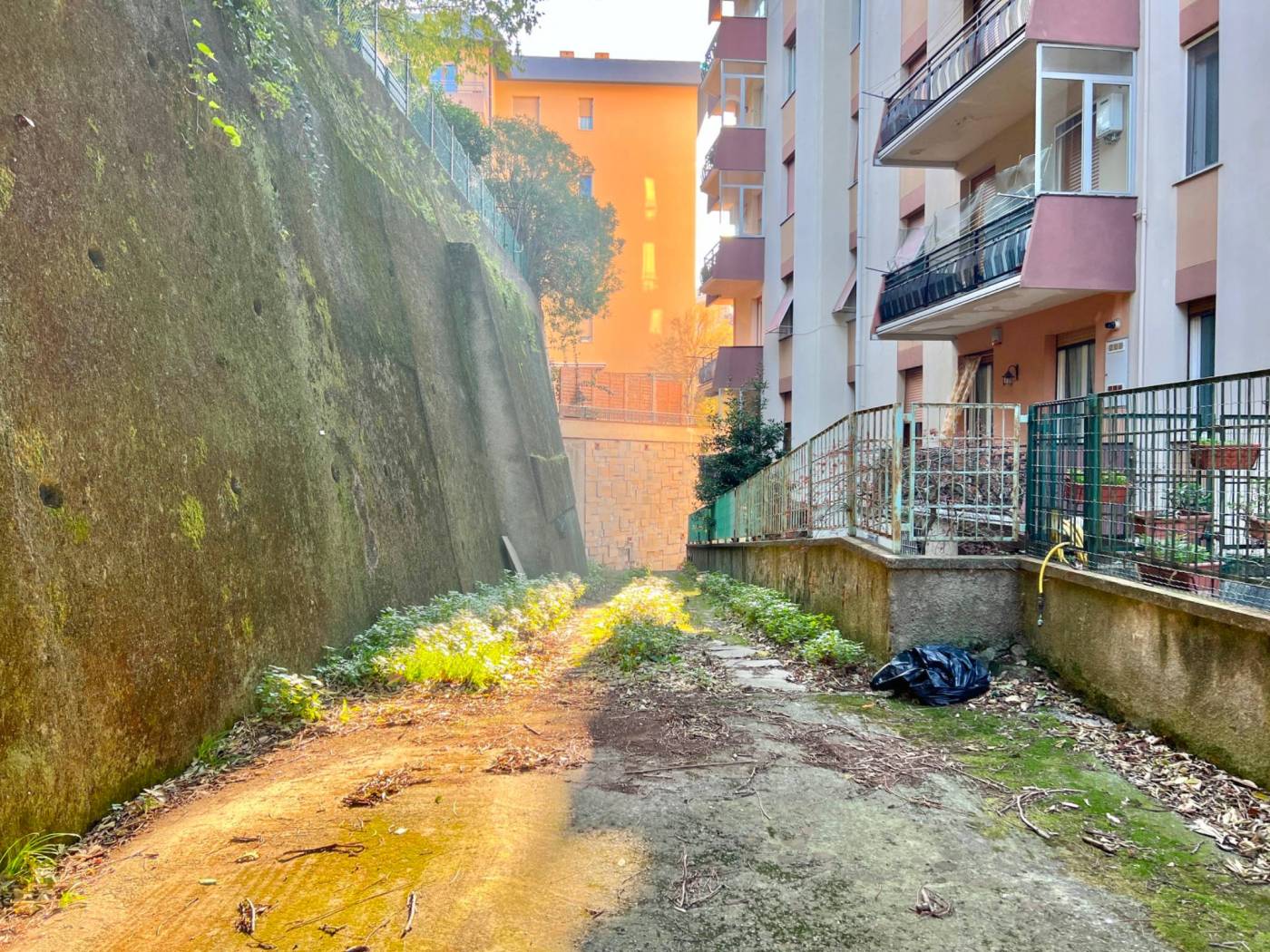 Giardino