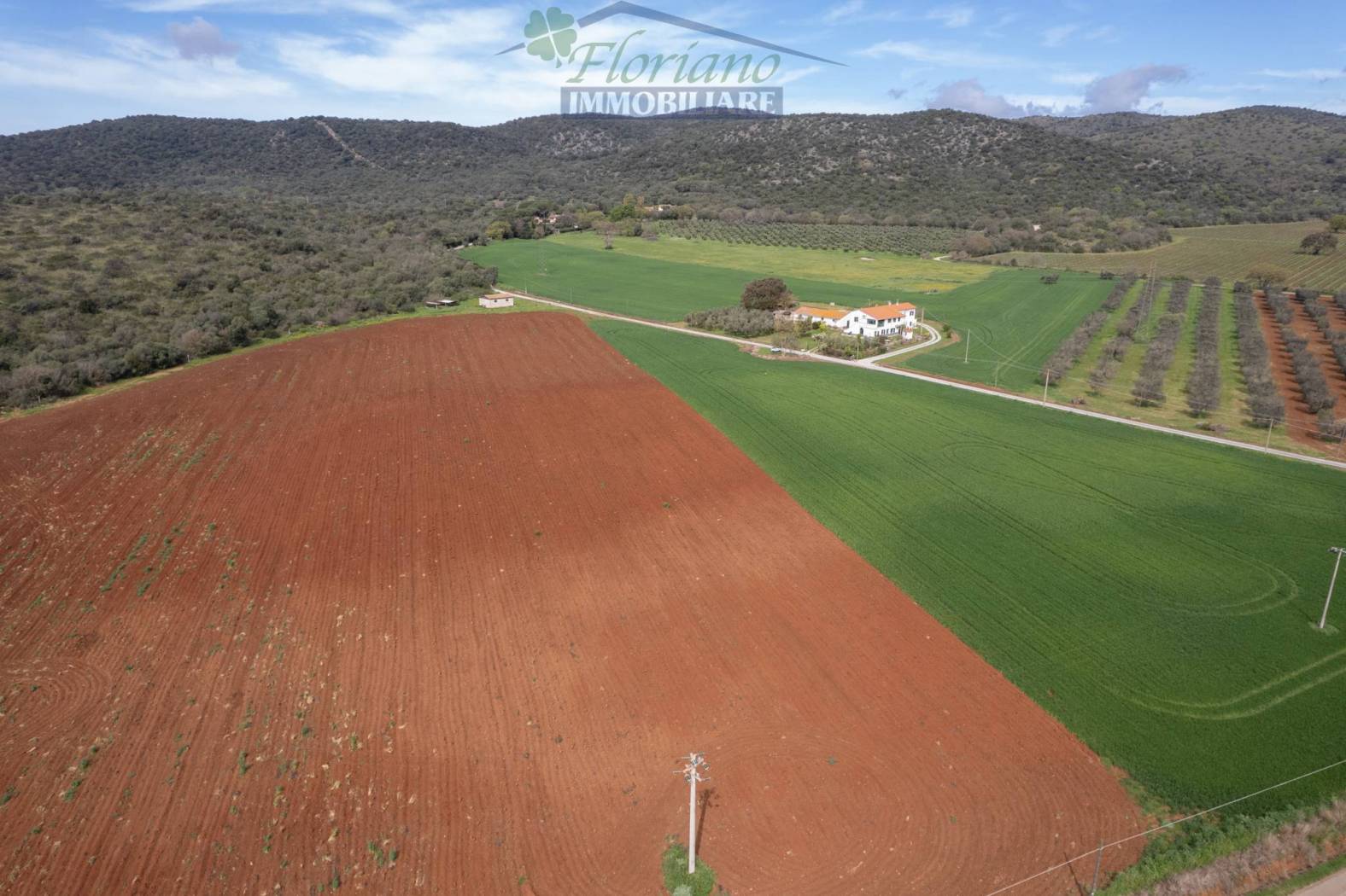 Terreno