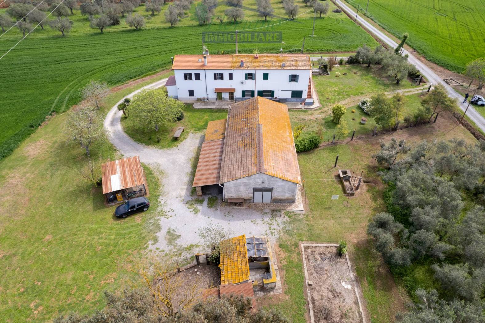 Vista