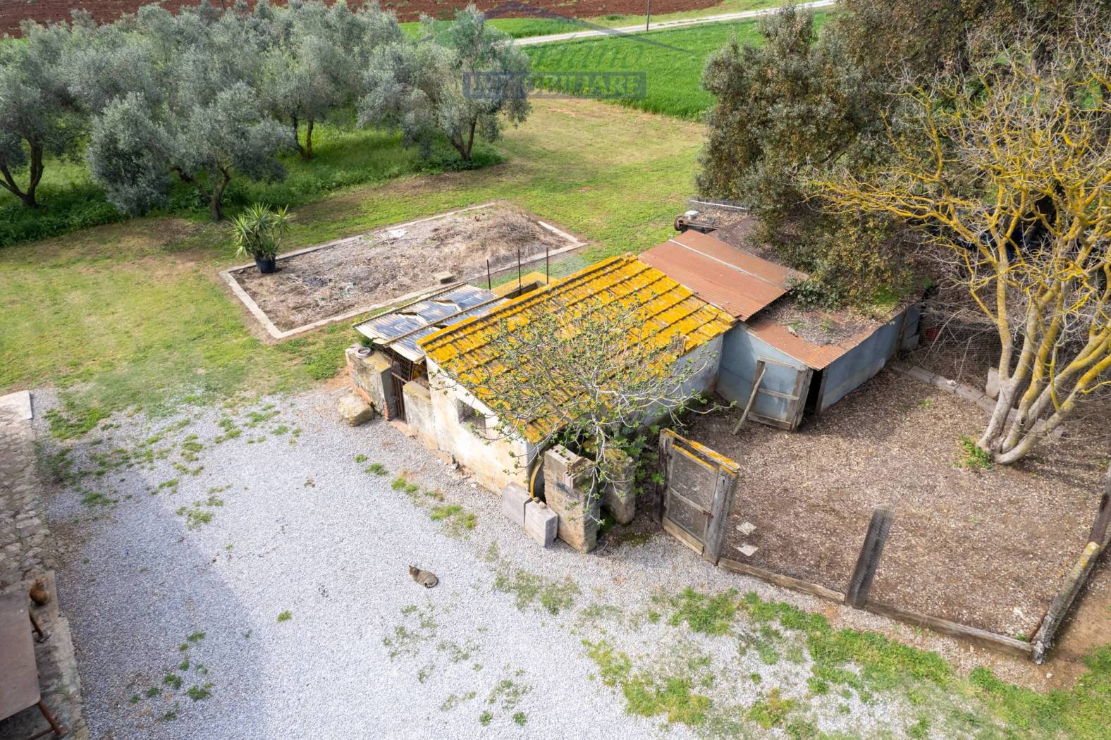 Terreno
