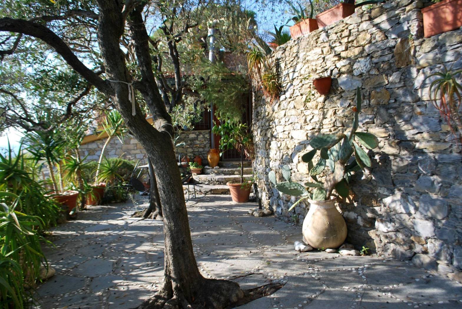 Giardino