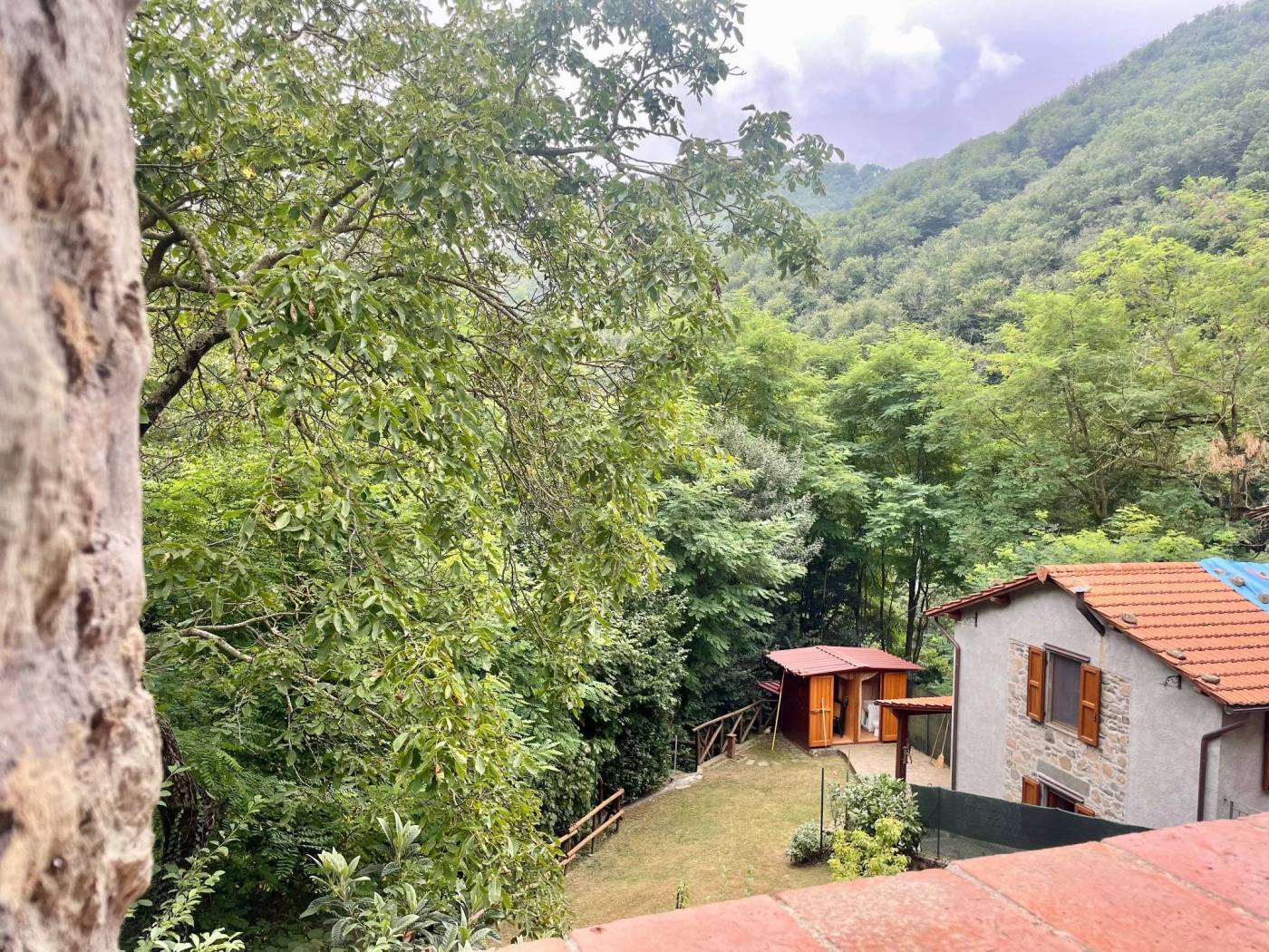 Vista
