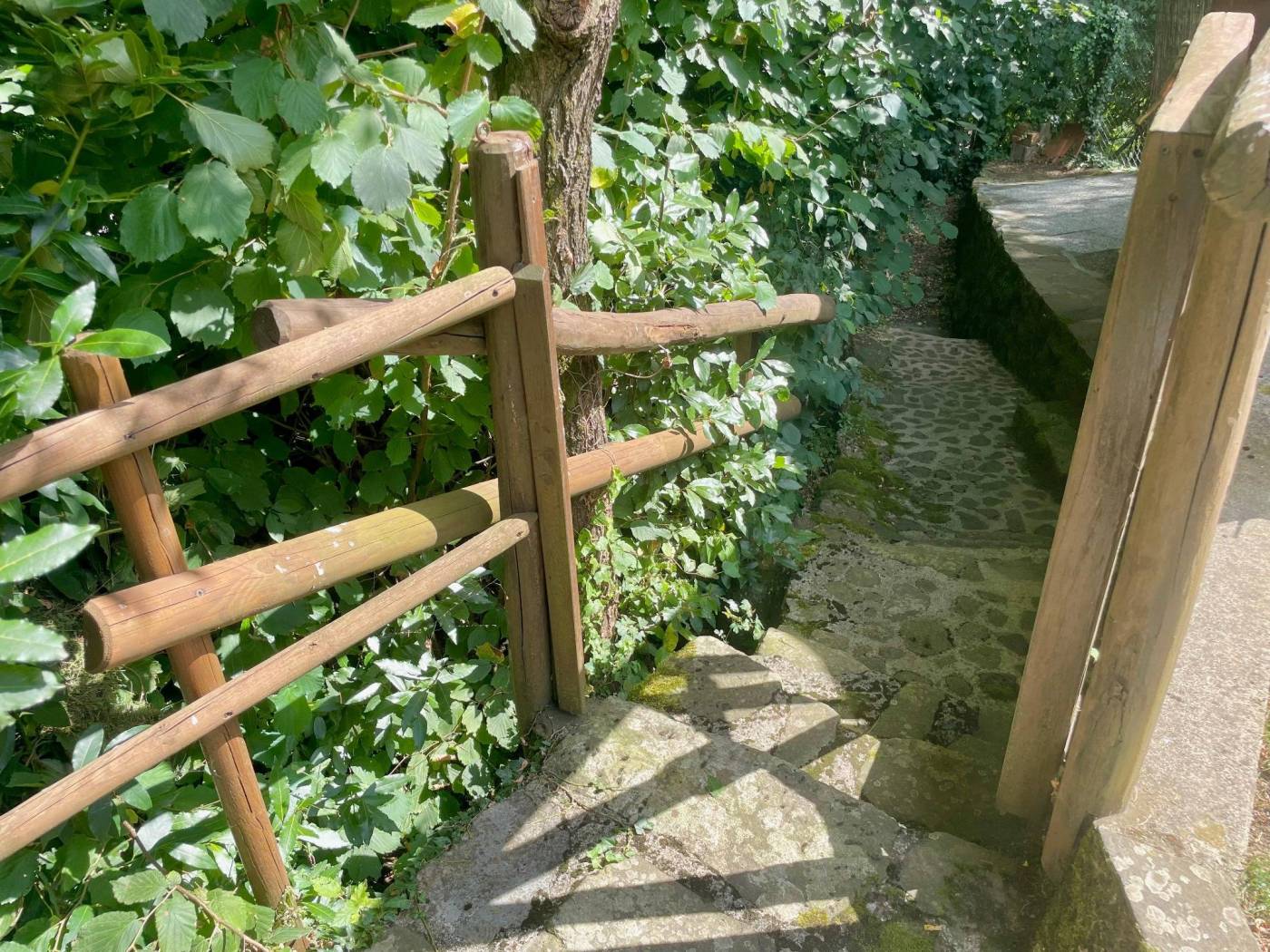 Giardino