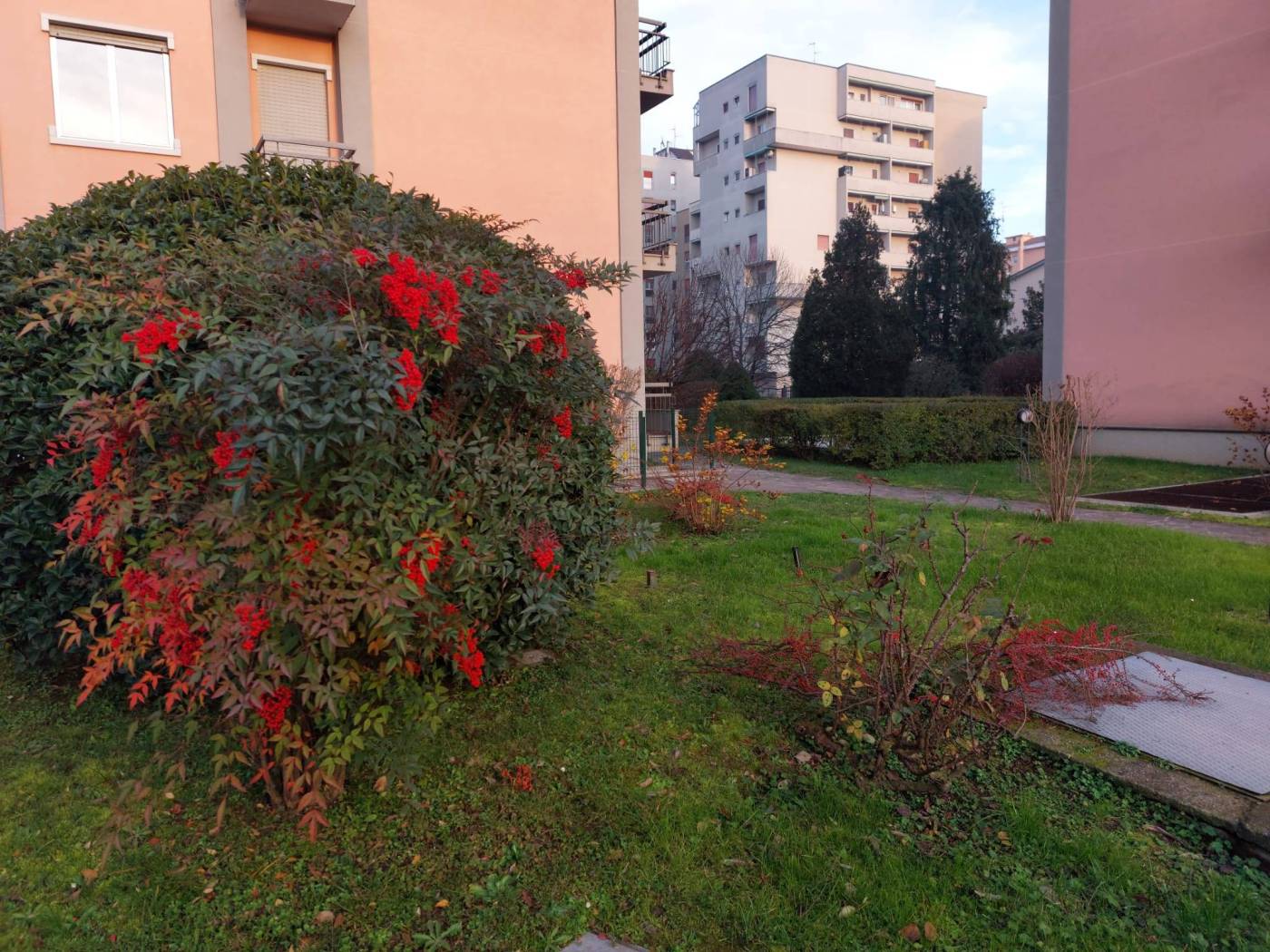 Giardino