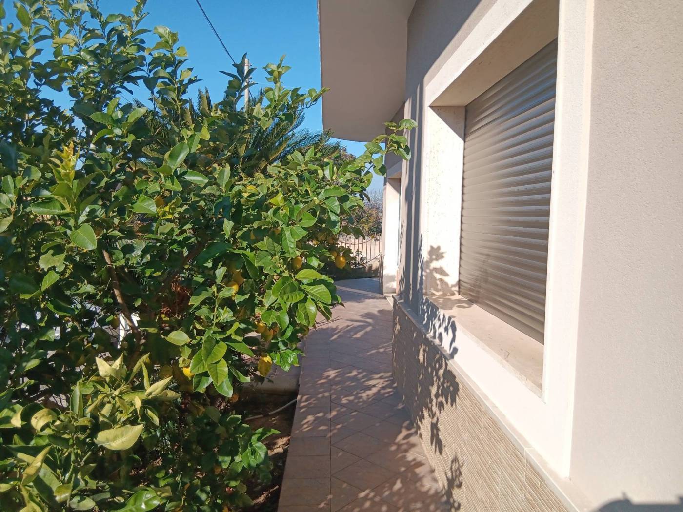 Giardino