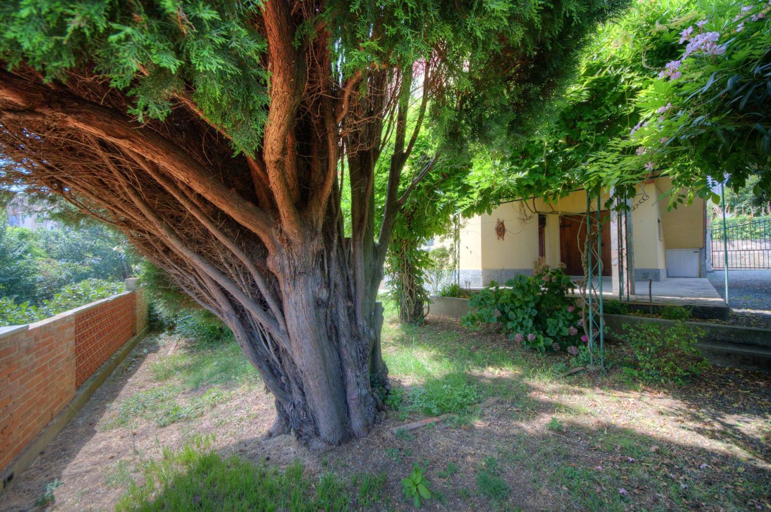 Giardino
