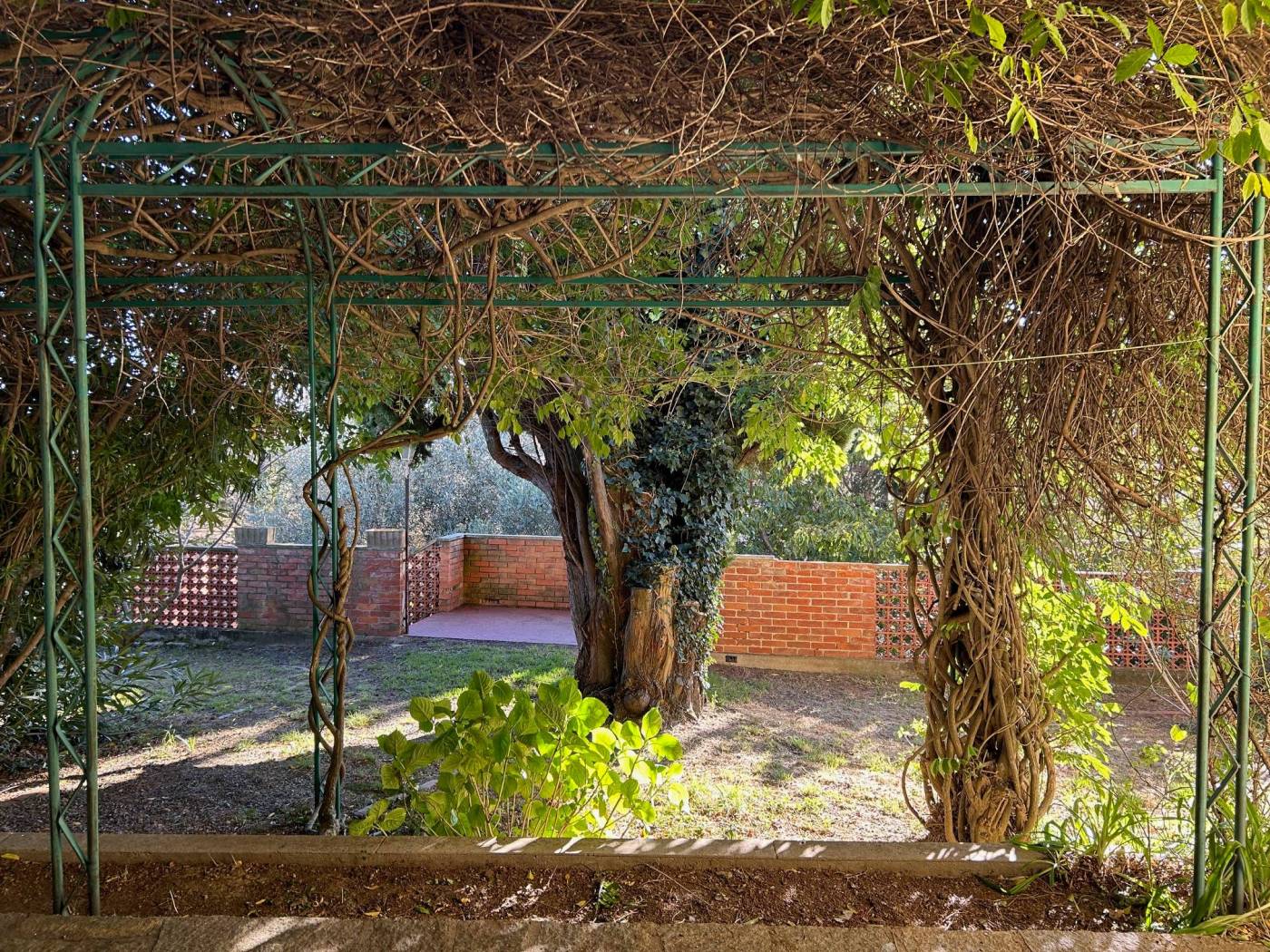 Giardino
