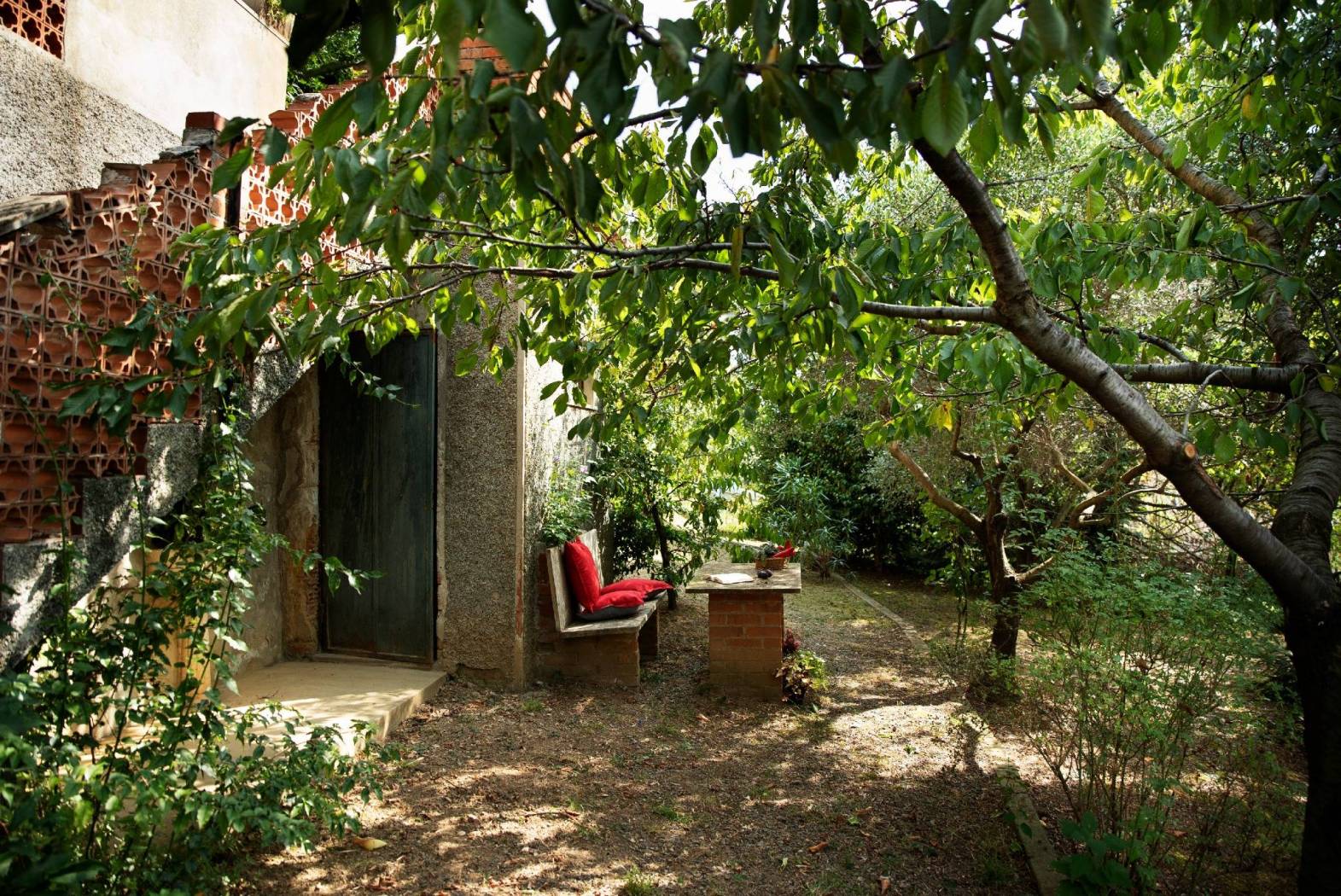 Giardino