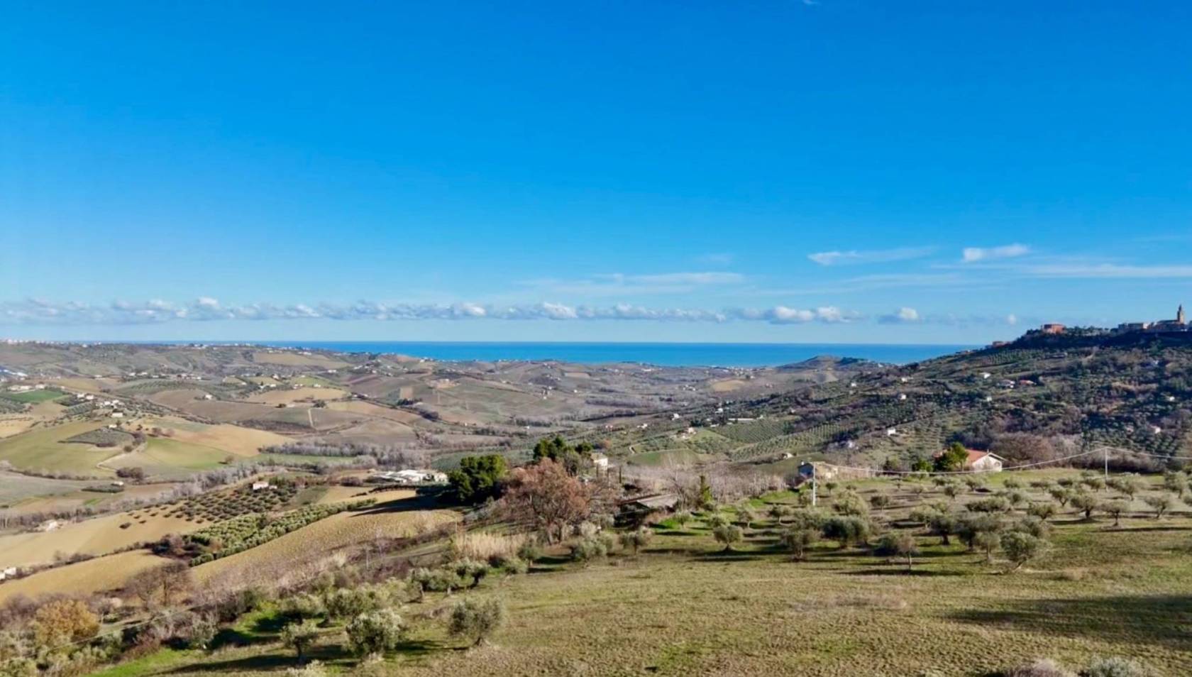 Vista
