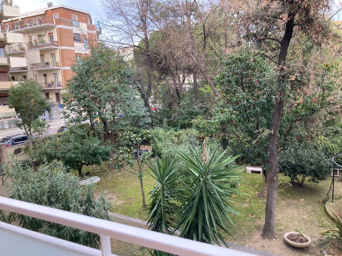 Vista