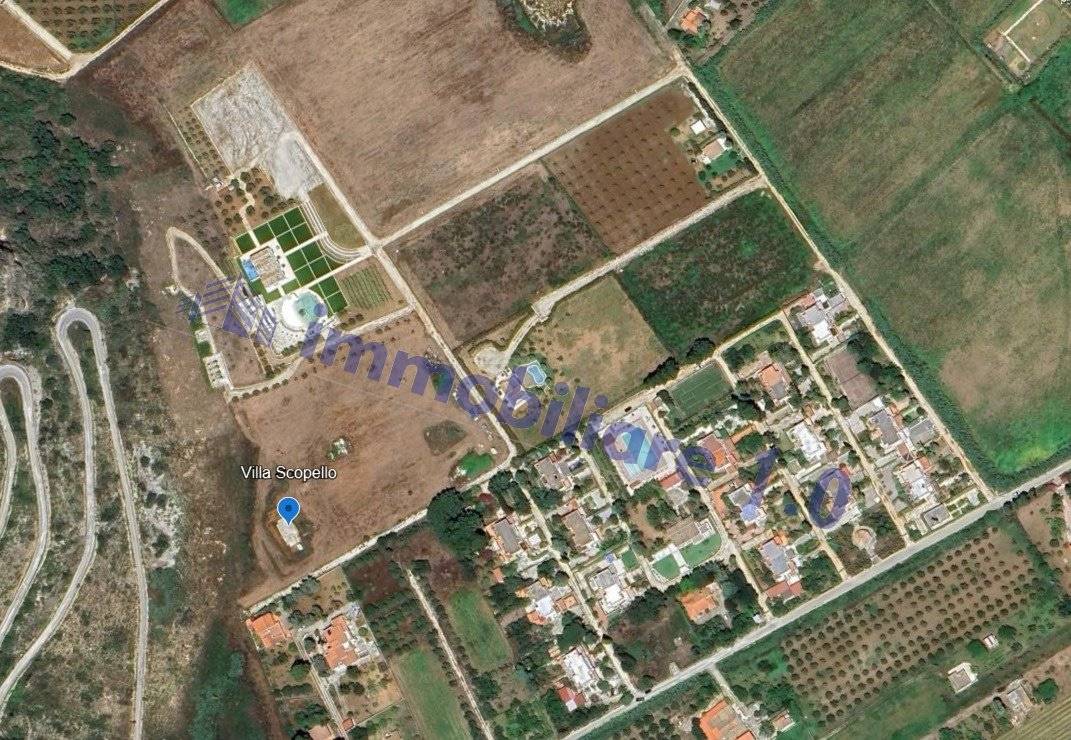 Zona