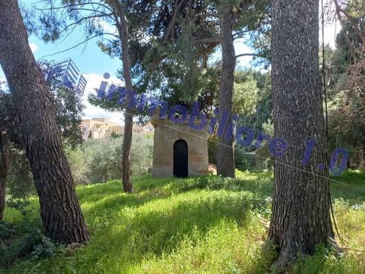 Dettagli