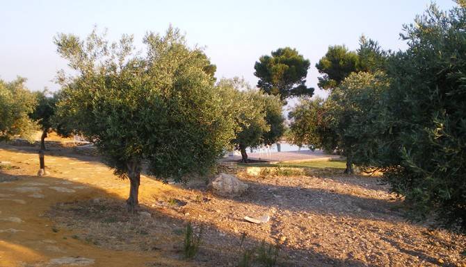 Dettagli