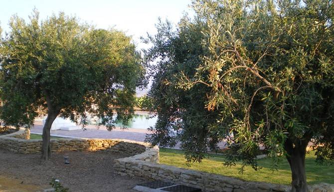 Dettagli