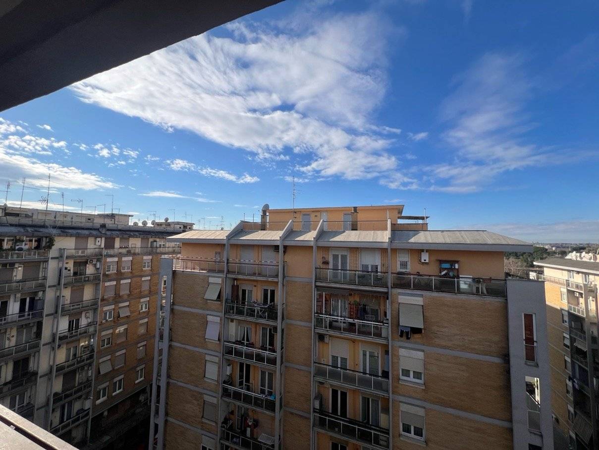 Vista
